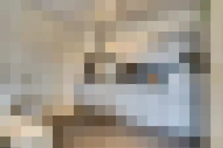 Dr Cuyperslaan 40 22 Eindhoven thumbnail 17