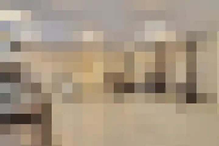 Dr Cuyperslaan 40 22 Eindhoven thumbnail 28