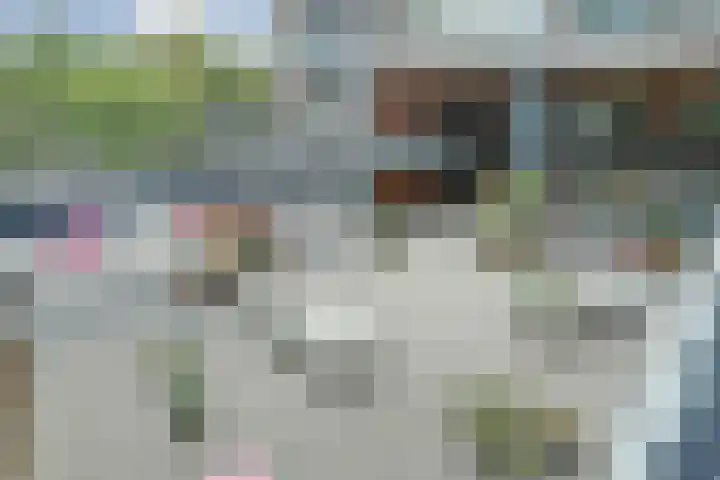 Dr Cuyperslaan 40 22 Eindhoven thumbnail 36