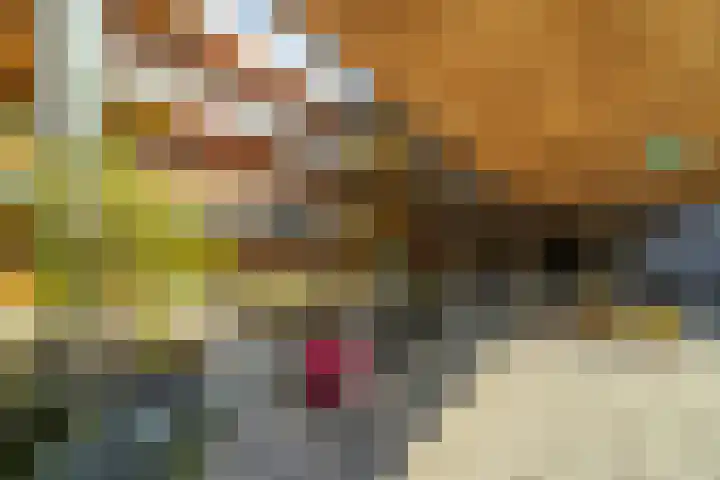 Dr Cuyperslaan 40 24 Eindhoven thumbnail 31