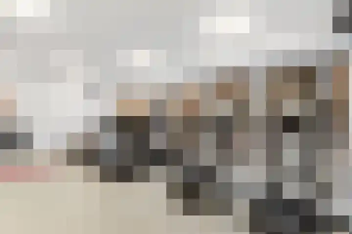Dr Cuyperslaan 40 24 Eindhoven thumbnail 32