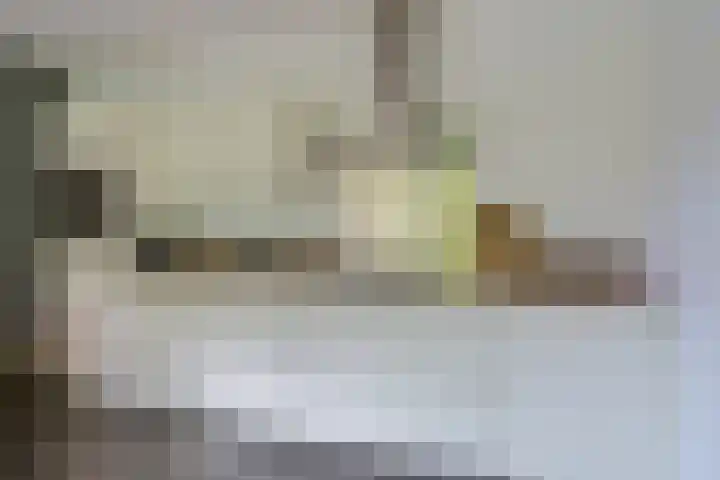 Dr Cuyperslaan 42 08 Eindhoven thumbnail 25
