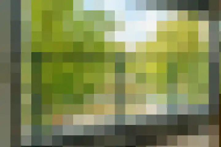 Dr Cuyperslaan 42 08 Eindhoven thumbnail 32