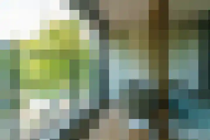 Dr Cuyperslaan 42 08 Eindhoven thumbnail 33