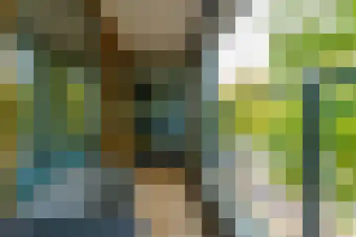 Dr Cuyperslaan 42 08 Eindhoven thumbnail 34