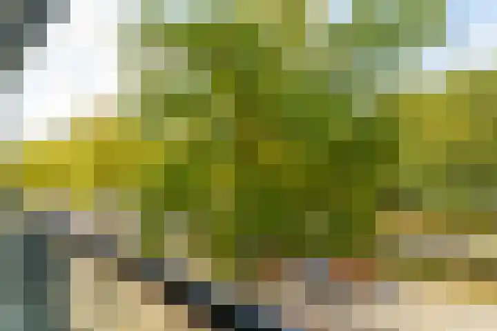 Dr Cuyperslaan 42 08 Eindhoven thumbnail 35