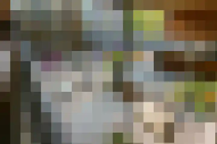 Dr Cuyperslaan 42 08 Eindhoven thumbnail 37