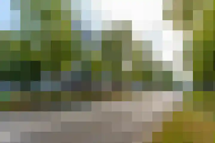 Dr Cuyperslaan 42 08 Eindhoven thumbnail 5