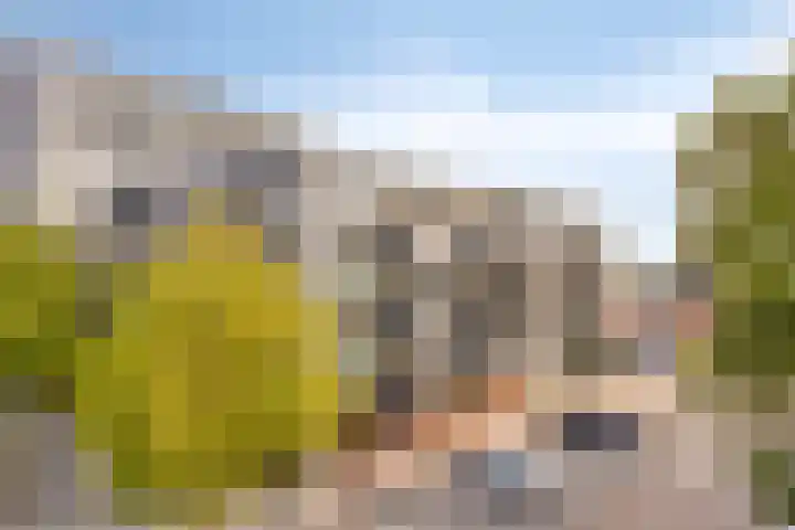 Dr Cuyperslaan 42 24 Eindhoven thumbnail 10