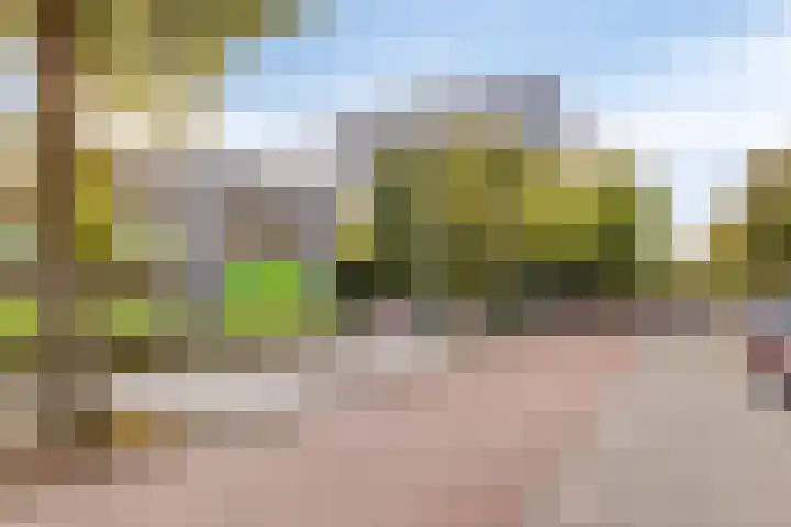Dr Cuyperslaan 42 24 Eindhoven thumbnail 11