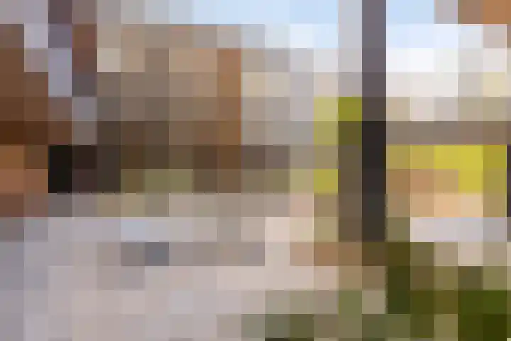 Dr Cuyperslaan 42 24 Eindhoven thumbnail 13
