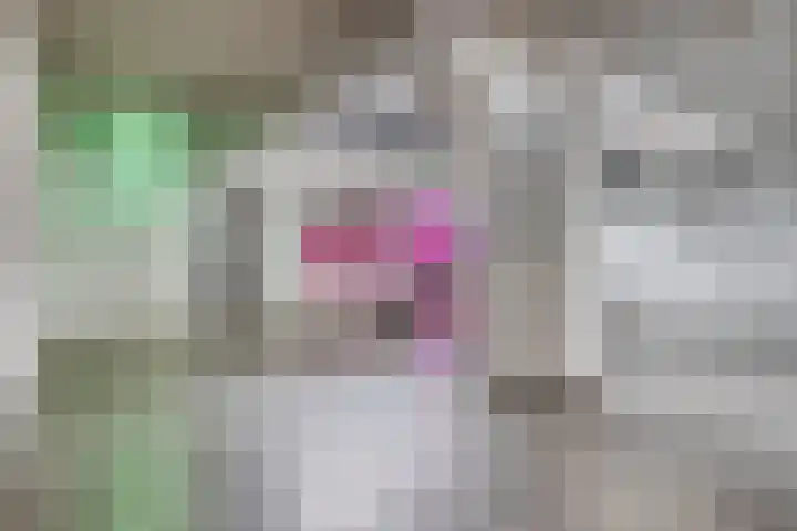 Dr Cuyperslaan 42 24 Eindhoven thumbnail 14