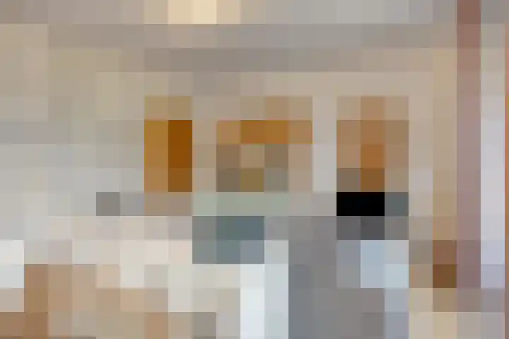 Dr Cuyperslaan 42 24 Eindhoven thumbnail 23