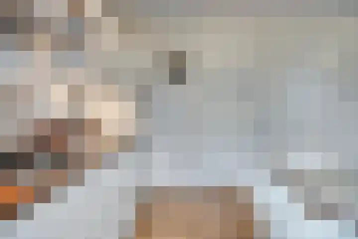 Dr Cuyperslaan 42 24 Eindhoven thumbnail 28