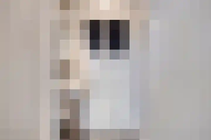 Dr Cuyperslaan 42 24 Eindhoven thumbnail 32