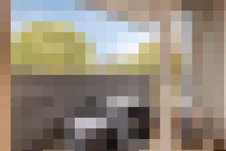 Dr Cuyperslaan 42 24 Eindhoven thumbnail 35