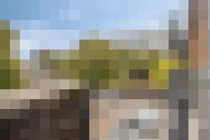 Dr Cuyperslaan 42 24 Eindhoven thumbnail 36