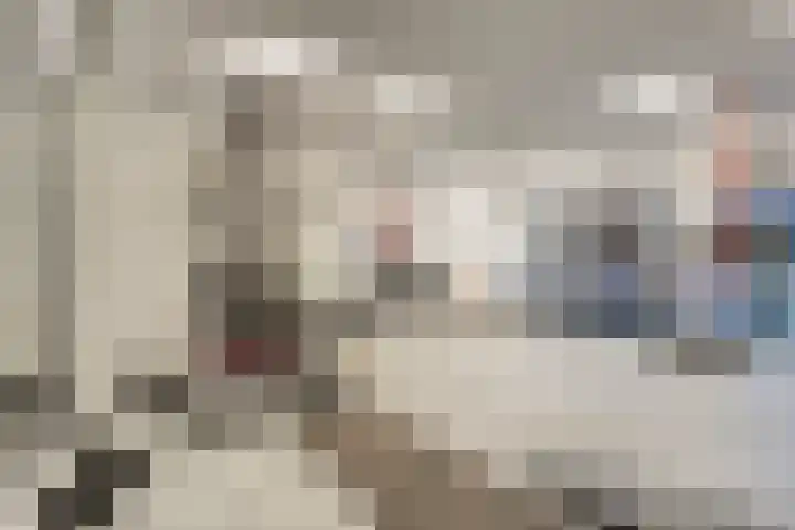 Dr Cuyperslaan 42 24 Eindhoven thumbnail 39