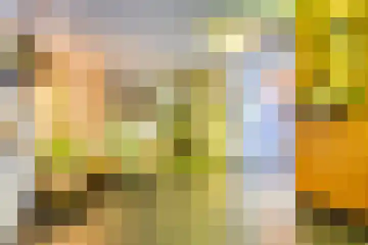 Dr Cuyperslaan 42 24 Eindhoven thumbnail 41