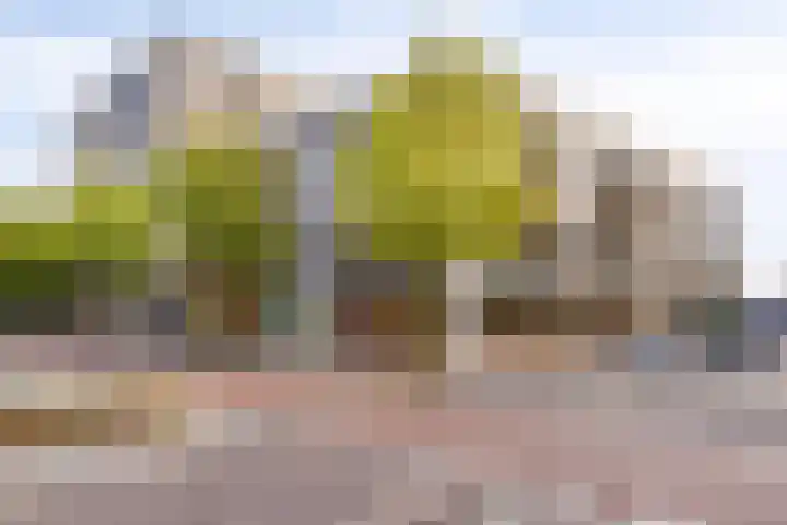 Dr Cuyperslaan 42 24 Eindhoven thumbnail 5
