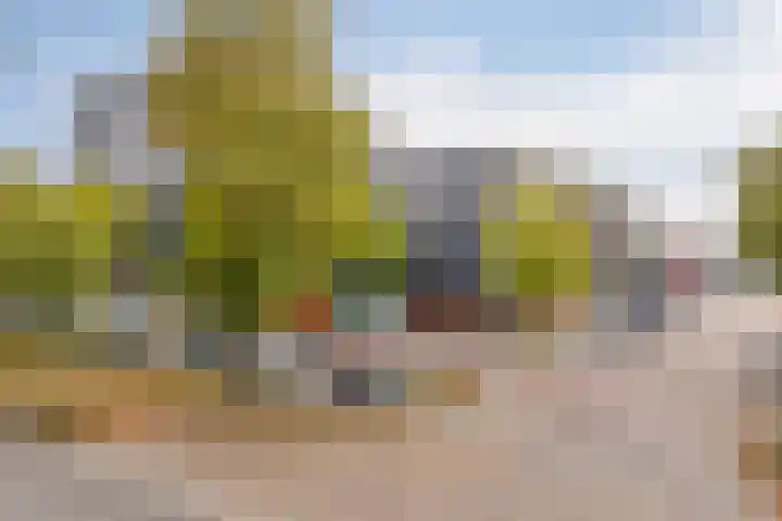 Dr Cuyperslaan 42 24 Eindhoven thumbnail 8