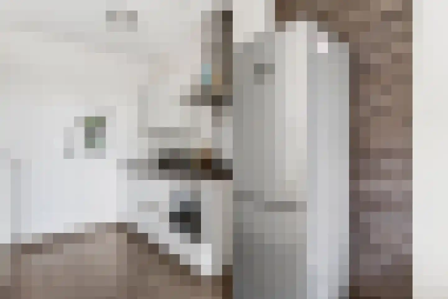 Dr Cuyperslaan 42 28 Eindhoven thumbnail 13