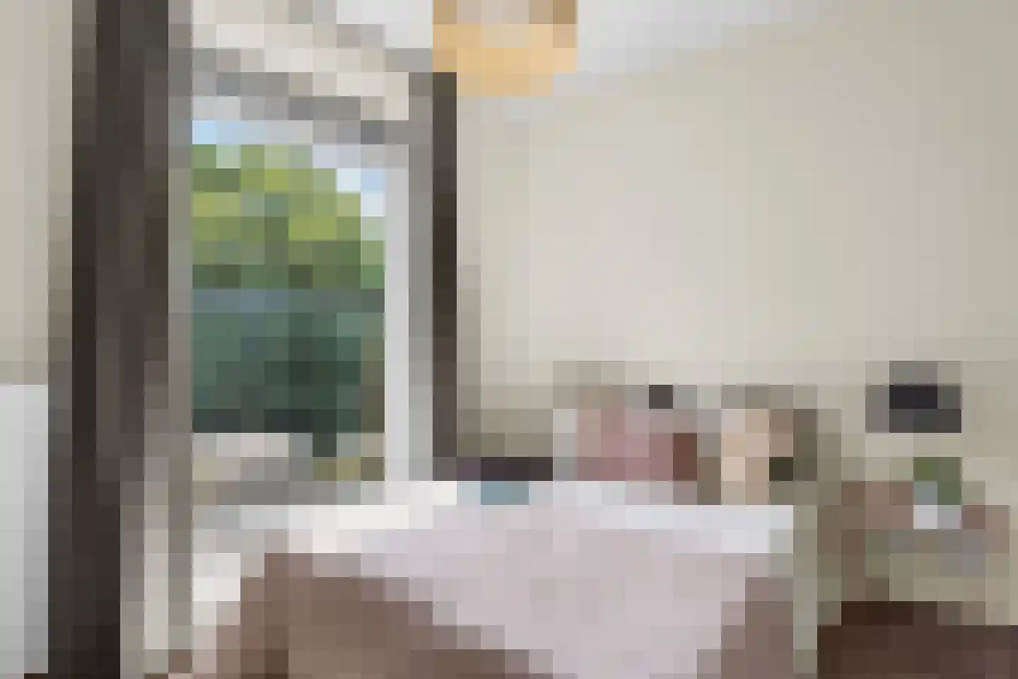 Dr Cuyperslaan 42 28 Eindhoven thumbnail 20