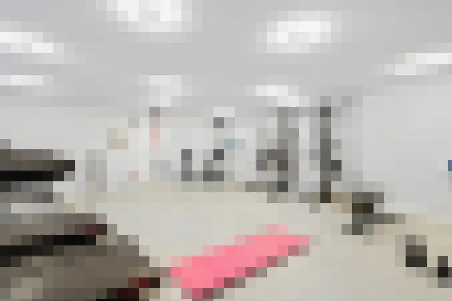 Dr Cuyperslaan 42 28 Eindhoven thumbnail 30