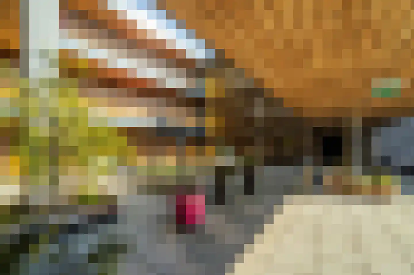 Dr Cuyperslaan 42 28 Eindhoven thumbnail 7