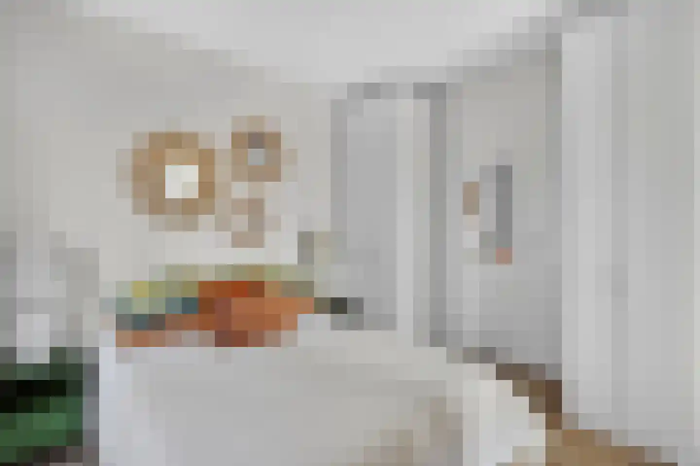 Dr Cuyperslaan 42 30 Eindhoven thumbnail 24