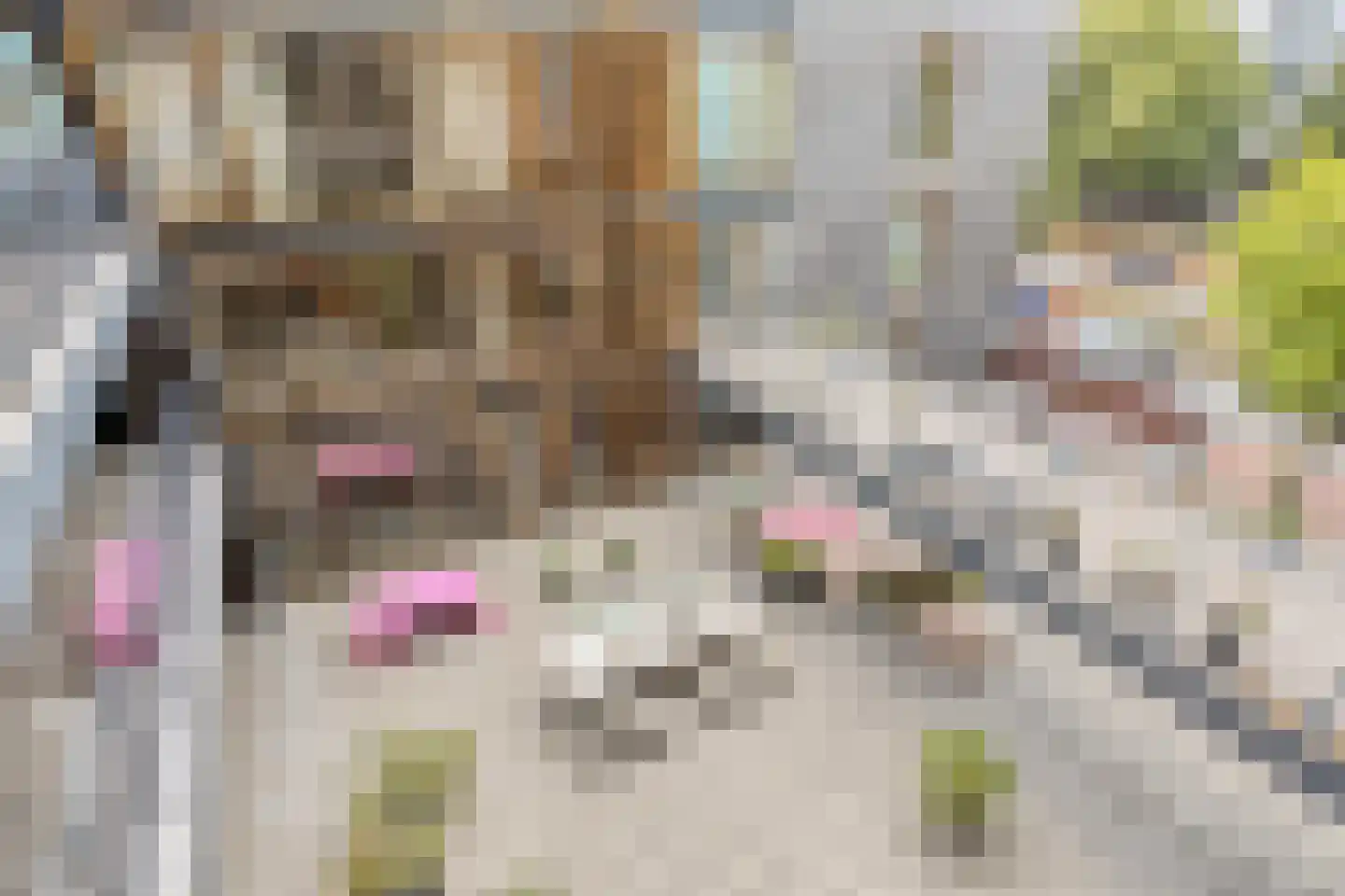 Dr Cuyperslaan 44 02 Eindhoven thumbnail 28