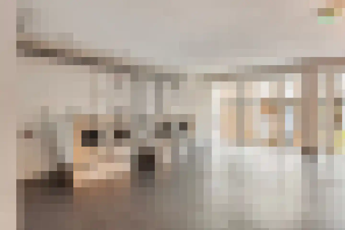 Dr Cuyperslaan 44 02 Eindhoven thumbnail 30