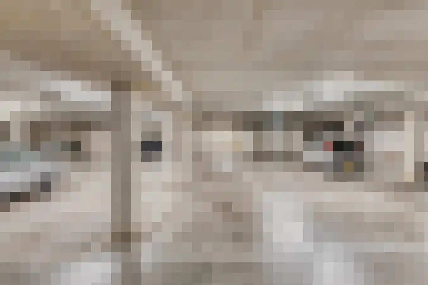 Dr Cuyperslaan 44 02 Eindhoven thumbnail 33