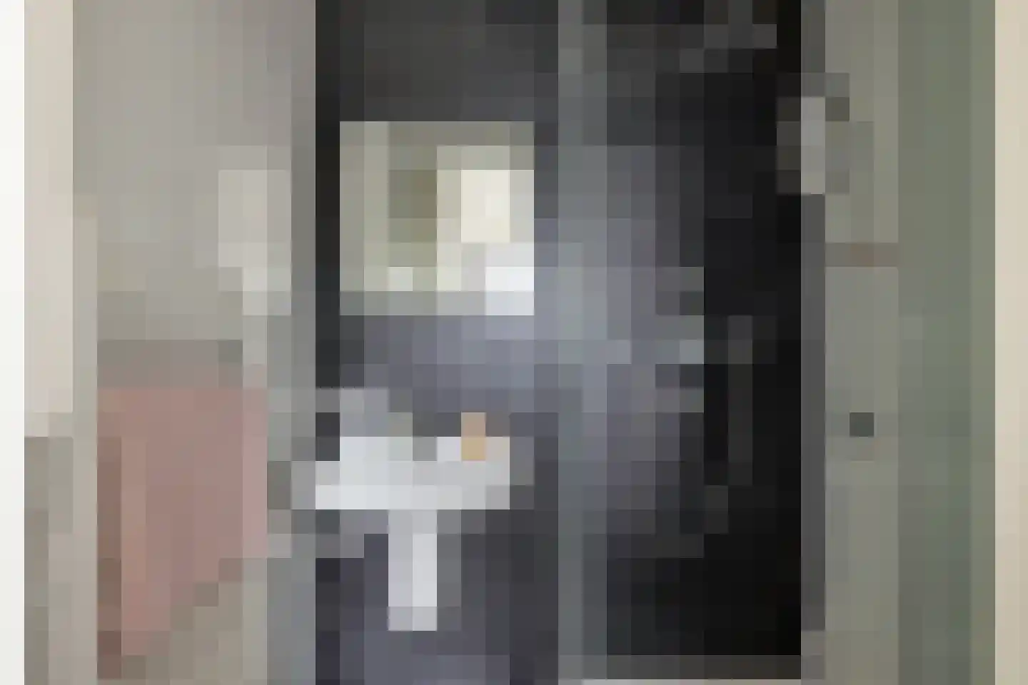 Dr Cuyperslaan 44 12 Eindhoven thumbnail 11