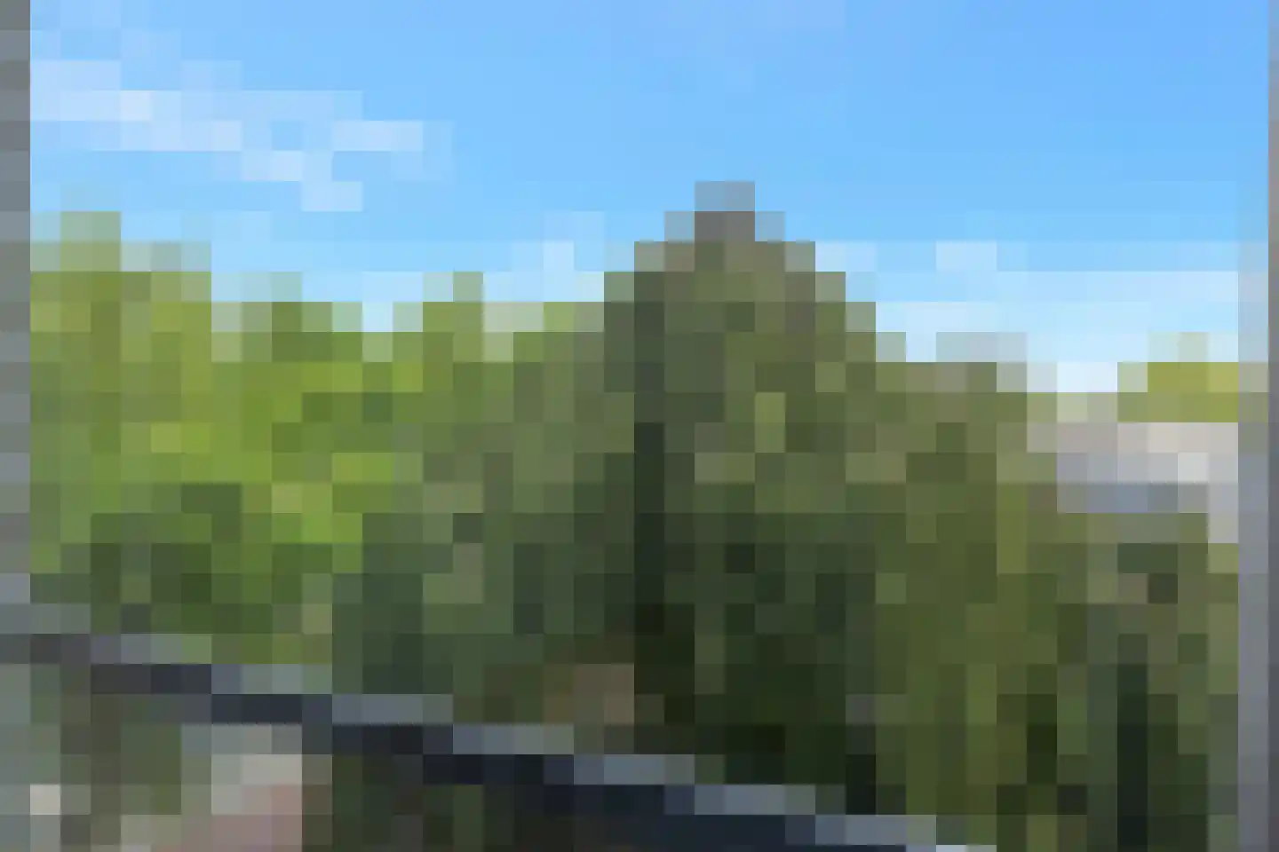 Dr Cuyperslaan 44 12 Eindhoven thumbnail 18