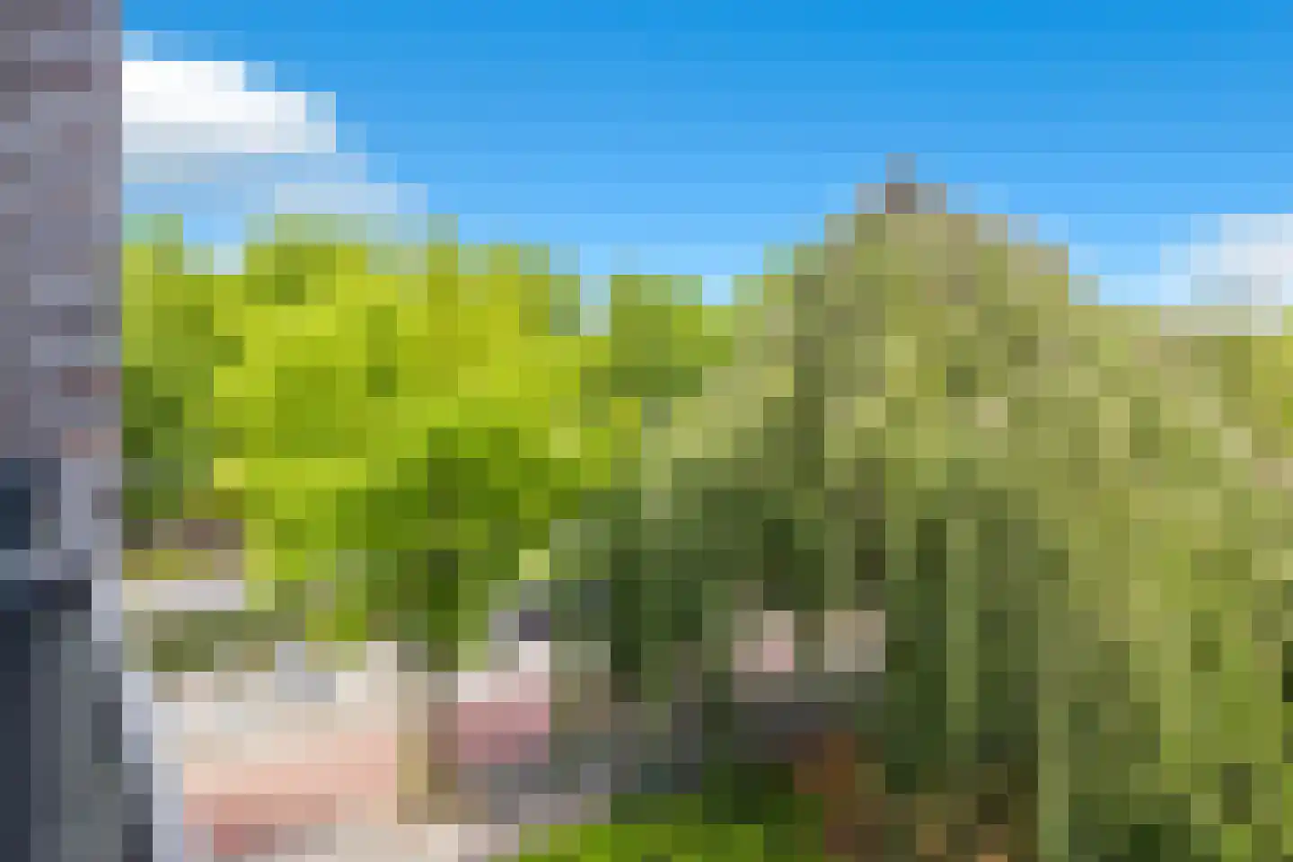 Dr Cuyperslaan 44 12 Eindhoven thumbnail 24