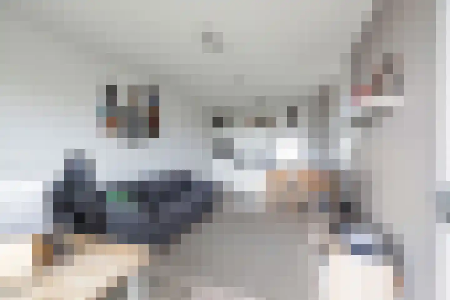 Dr Cuyperslaan 44 12 Eindhoven thumbnail 7