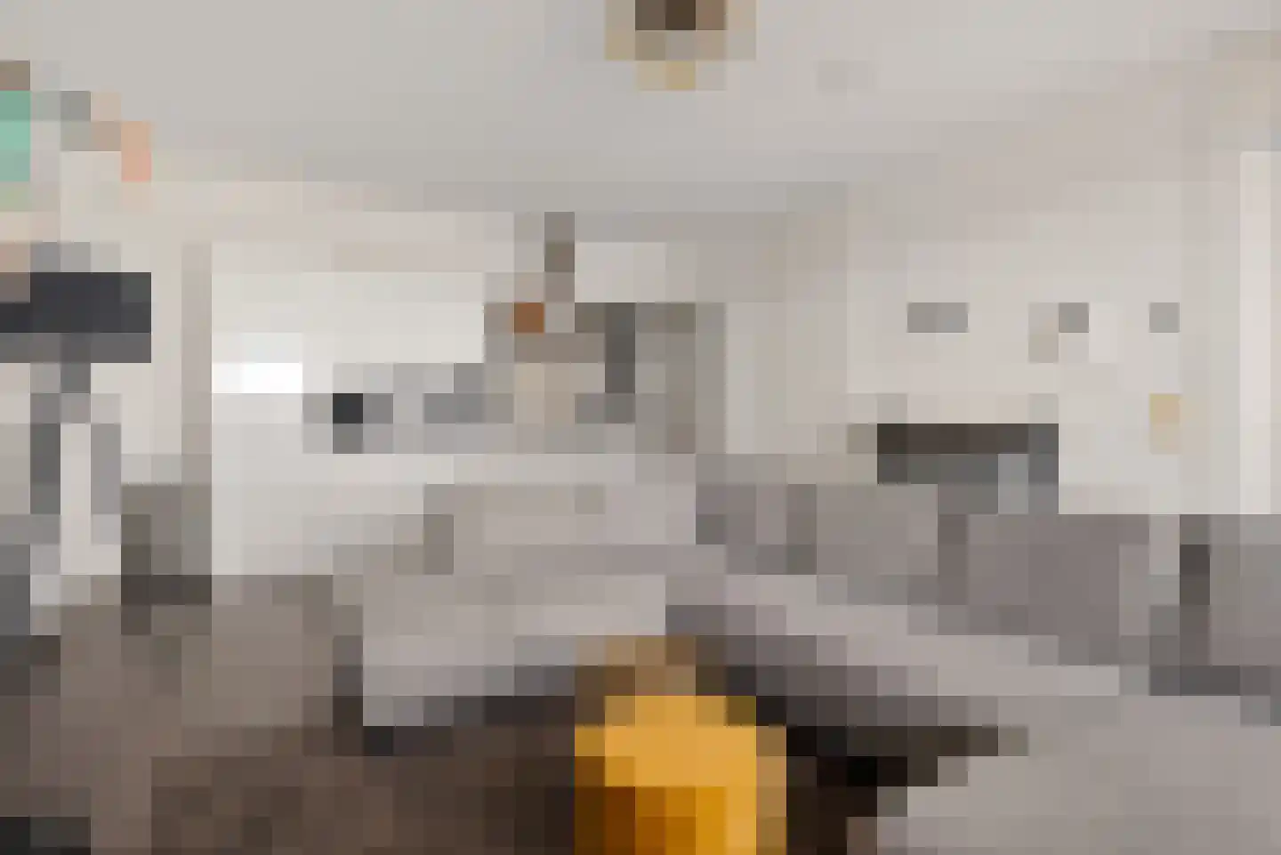 Dr Cuyperslaan 44 22 Eindhoven thumbnail 11