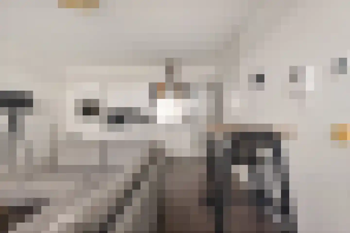 Dr Cuyperslaan 44 22 Eindhoven thumbnail 13