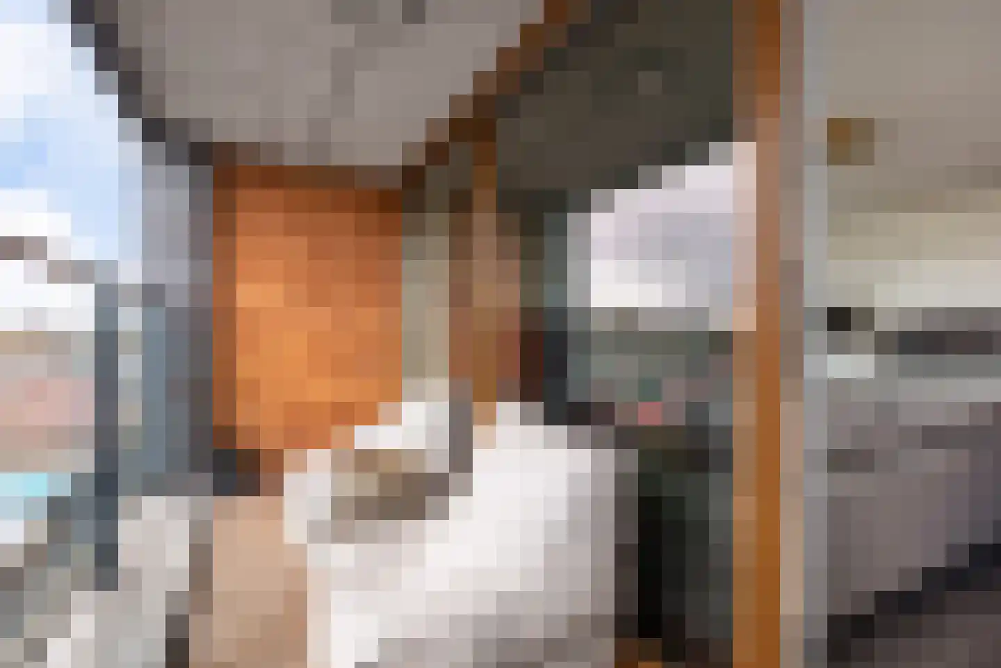 Dr Cuyperslaan 44 22 Eindhoven thumbnail 21
