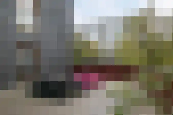 Dr Cuyperslaan 44 32 Eindhoven thumbnail 24