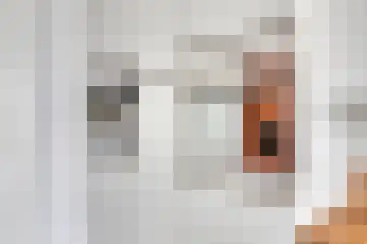 Dr Cuyperslaan 44 36 Eindhoven thumbnail 15