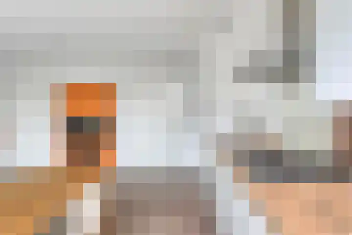 Dr Cuyperslaan 44 36 Eindhoven thumbnail 16