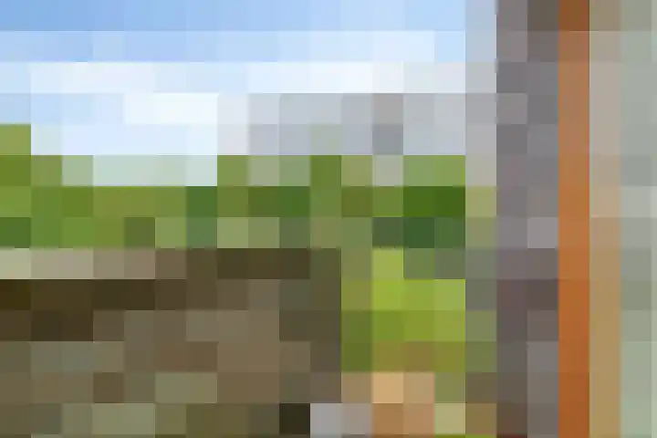 Dr Cuyperslaan 44 36 Eindhoven thumbnail 18