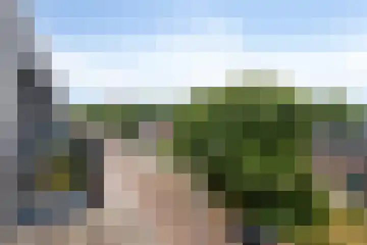 Dr Cuyperslaan 44 36 Eindhoven thumbnail 19