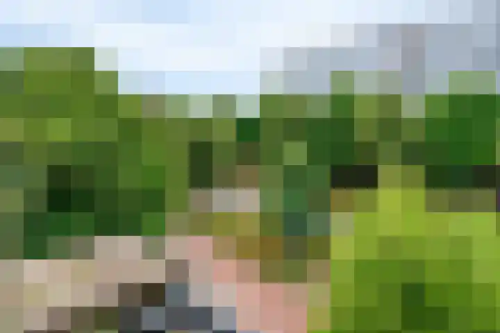Dr Cuyperslaan 44 36 Eindhoven thumbnail 20