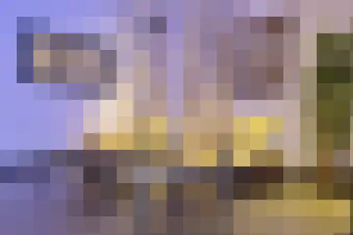 Dr Cuyperslaan 44 36 Eindhoven thumbnail 34