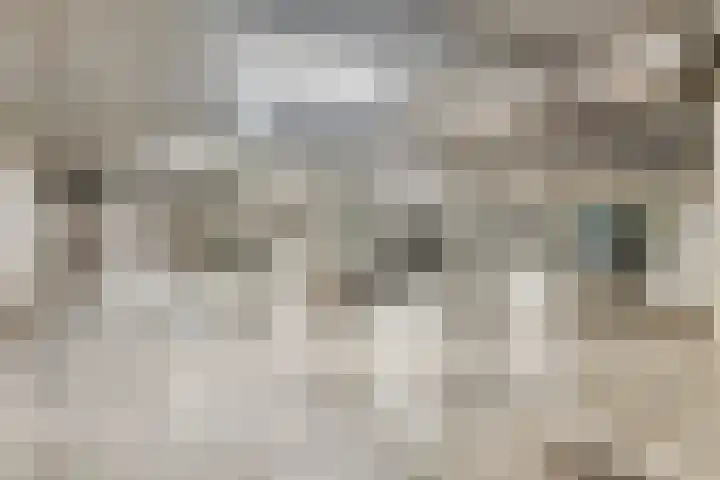 Dr Cuyperslaan 44 36 Eindhoven thumbnail 36