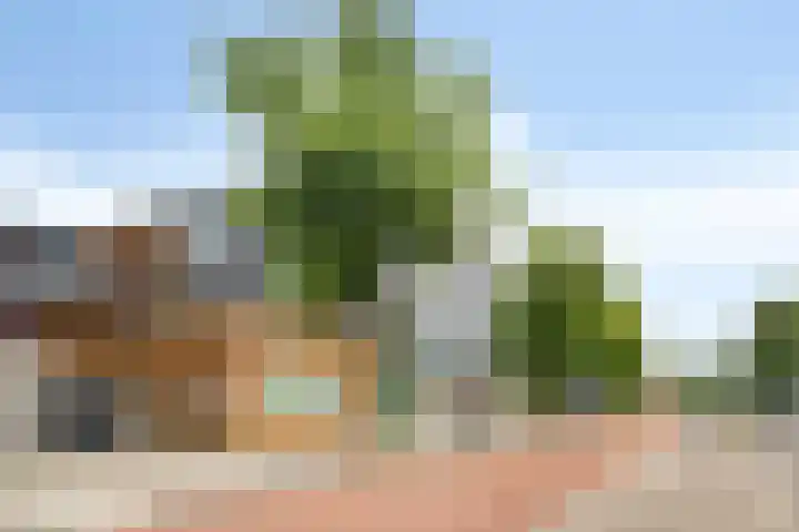 Dr Cuyperslaan 44 36 Eindhoven thumbnail 41