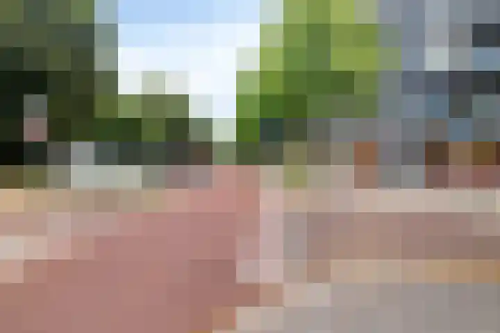 Dr Cuyperslaan 44 36 Eindhoven thumbnail 43